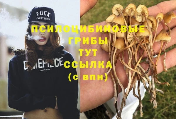 гашишное масло Алексеевка