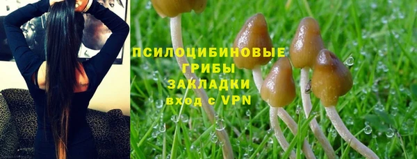 гашишное масло Алексеевка