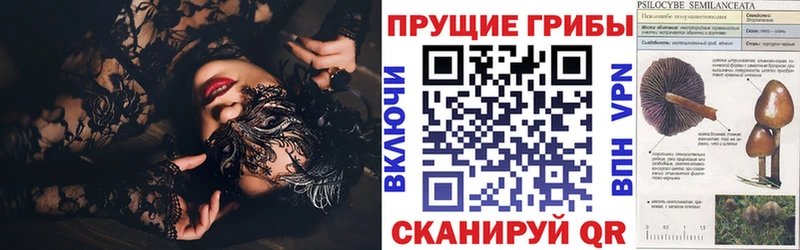 Псилоцибиновые грибы Psilocybe  Зарайск 